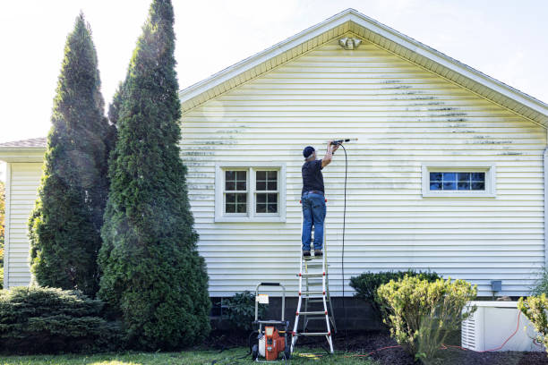 Best Oil Spill Cleanup  in Cortland, NY